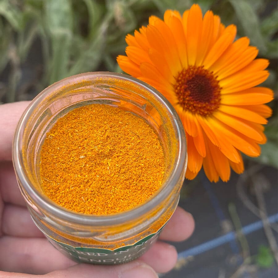 Calendula Flower Dust - Cakeonuts