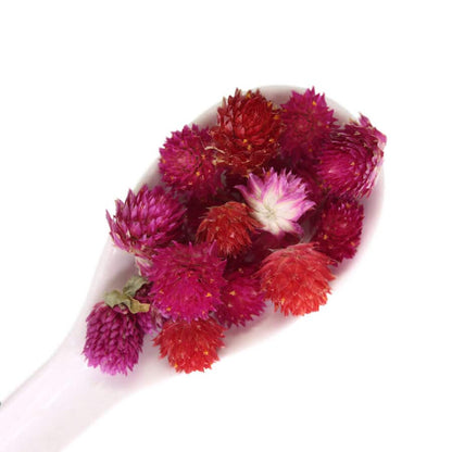 Dried Amaranth Pom Pom Flowers - Cakeonuts