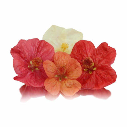 Fresh Abutilon (Paradise) Edible Flowers