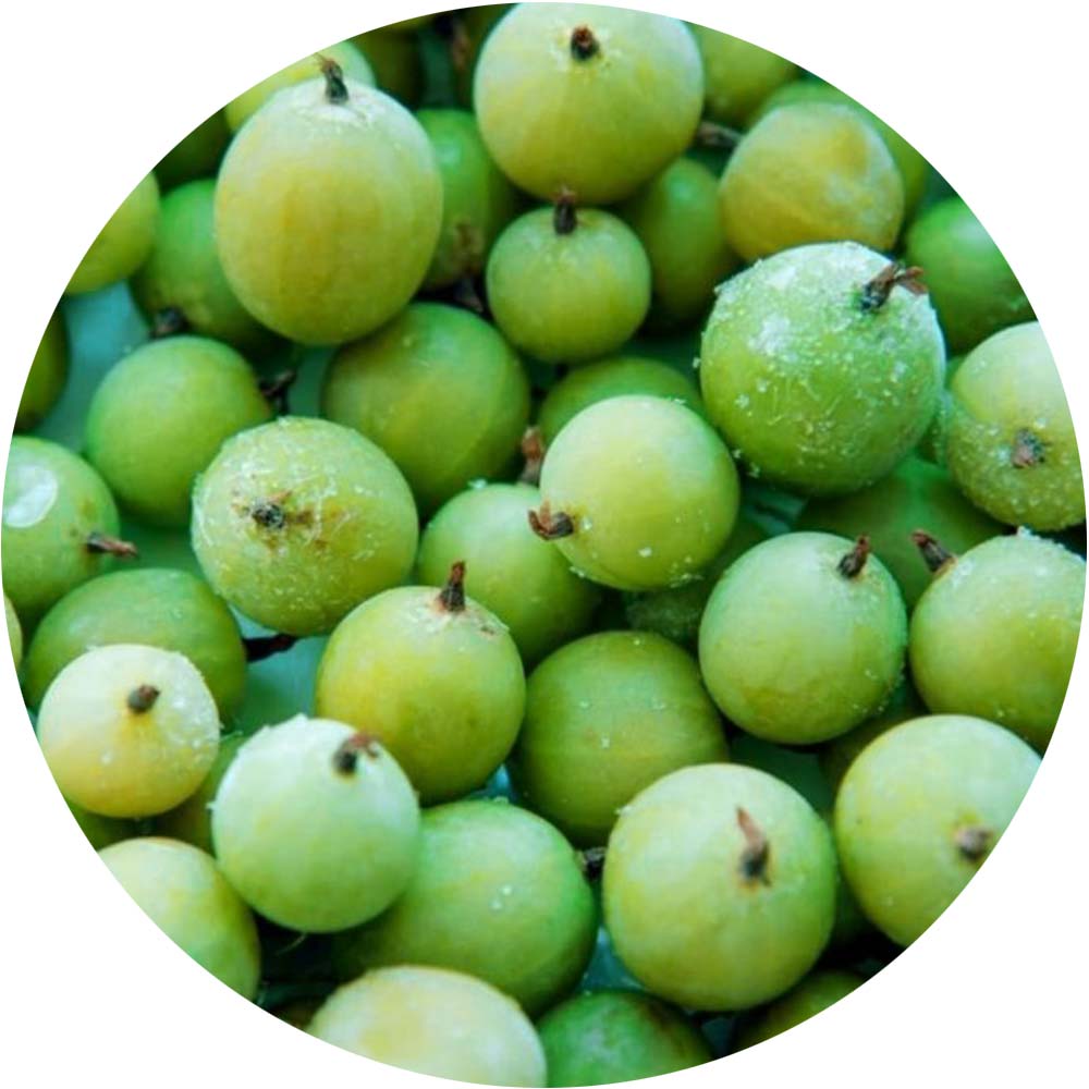 Frozen Gooseberries - Cakeonuts