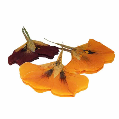 Pressed Nasturtium Flowers - Cakeonuts