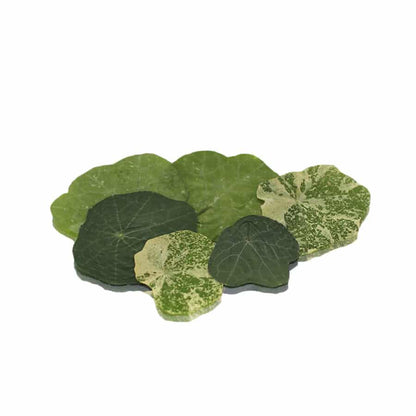 Pressed Nasturtium Leaves - Cakeonuts