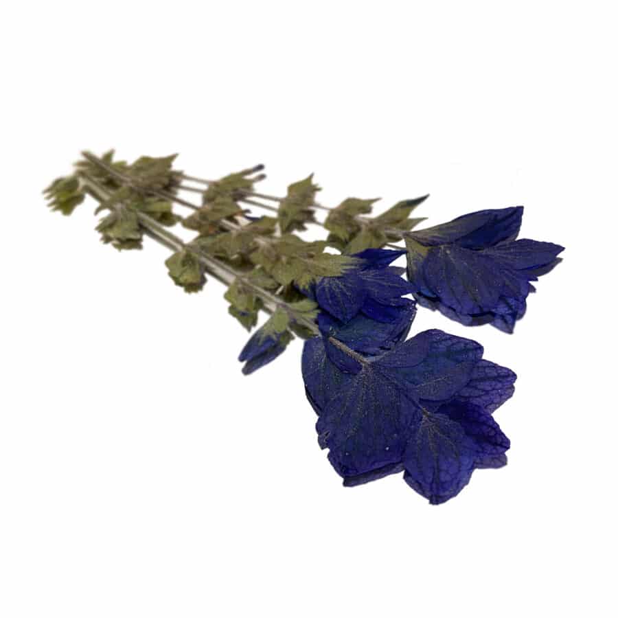 Pressed Oxford (Salvia Sage) Flowers - Cakeonuts