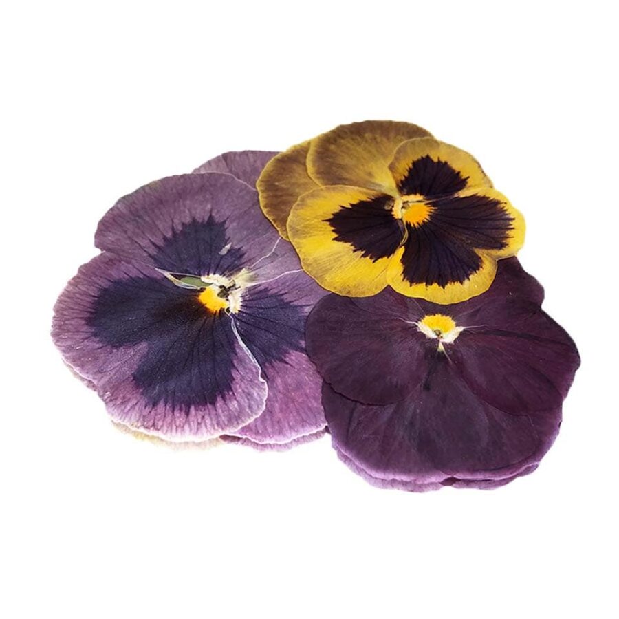 Pressed Pansy Flowers - Cakeonuts