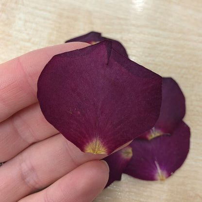 Pressed Rose Petals - Cakeonuts