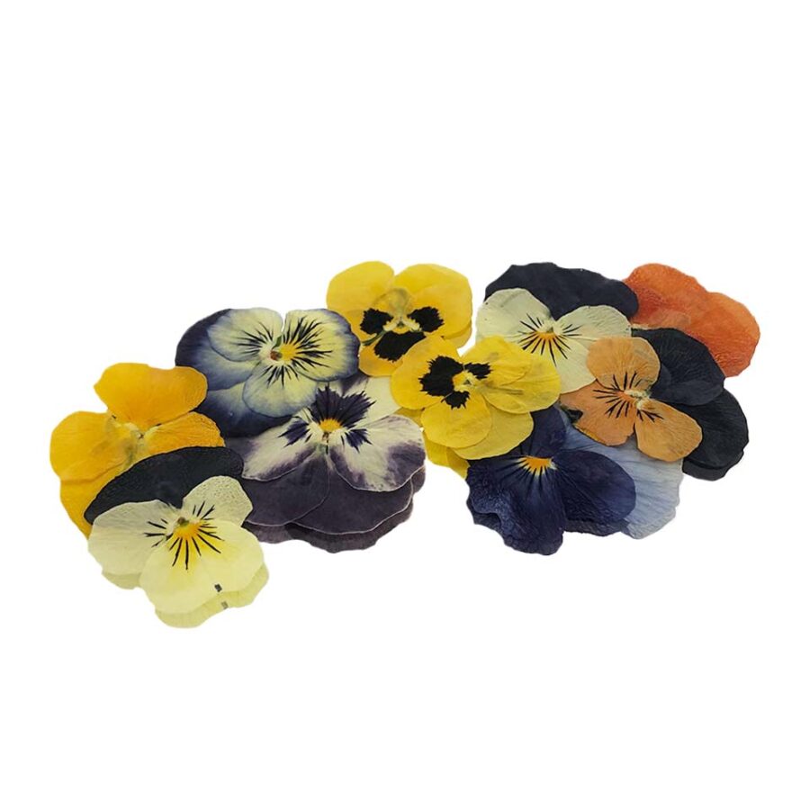 Pressed Viola Flowers - Cakeonuts