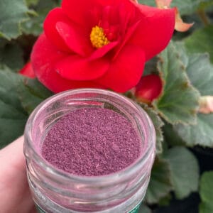 Rose Flower Dust - Cakeonuts